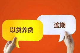 蒙阴工资清欠服务